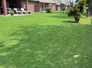 Roshani P.'s lawn maintenance service result