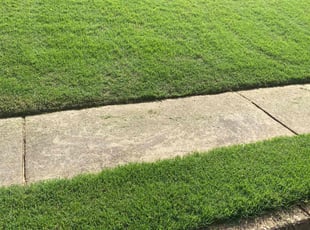 Hilyer I.'s grass maintenance service result