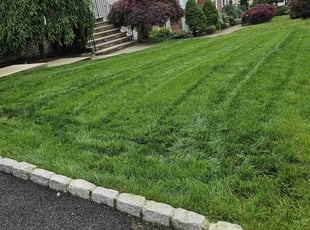 John Q.'s lawn care service result