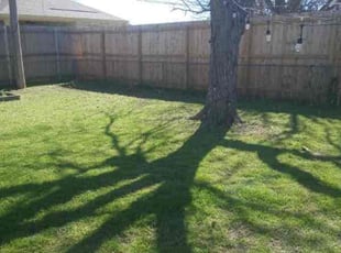 Patricia C.'s lawn care services service result