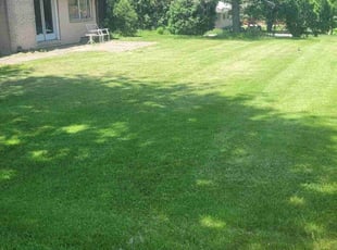 Jon B.'s turf care service result