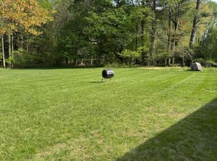 Tim S.'s turf care service result