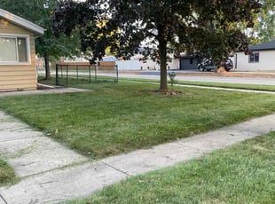 Lisa B.'s lawn care services service result