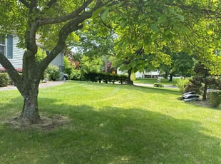 Leslie M.'s lawn maintenance service result