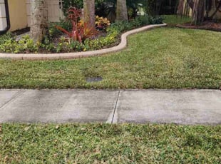 Lisa V.'s turf maintenance service result