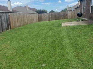 Aaron D.'s landscaping service result