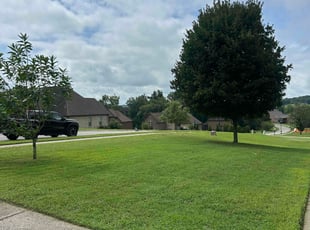 Jessica D.'s lawn care services service result