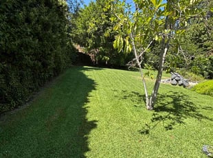 David M.'s grass cutting service result