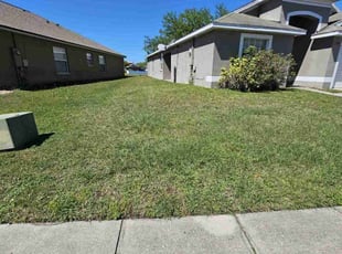 Al I.'s turf care service result