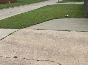 Amina S.'s lawn maintenance service result