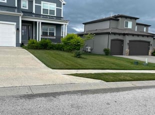 Woodrow J.'s lawn care service result