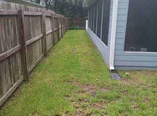 Willie J.'s lawn care service result