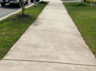 Sandra D.'s grass maintenance service result