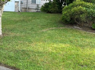 Renee B.'s lawn service service result