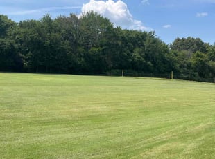 Sonja H.'s turf maintenance service result