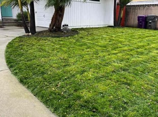 James G.'s lawn maintenance service result
