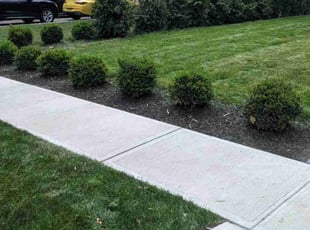 Vanessa S.'s lawn maintenance service result