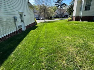 Tom L.'s lawn care service result