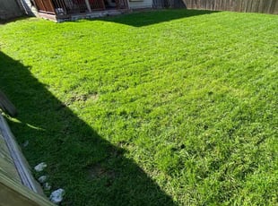 Jennifer C.'s grass cutting service result
