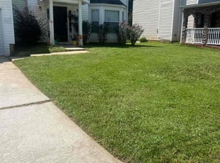 Lilliana R.'s Cleanups service result