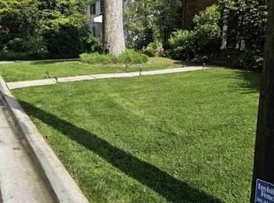 Mark A.'s grass cutting service result