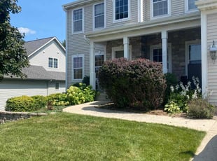 Jeff M.'s Bush Trimming service result