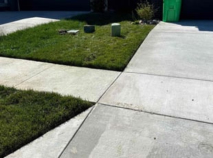 Lauren S.'s grass cutting service result