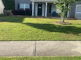 Christina G.'s lawn maintenance service result