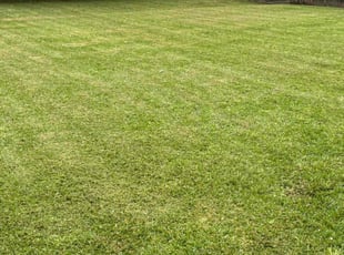 Byron G.'s lawn maintenance service result