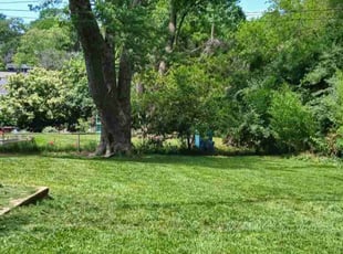 Catalin A.'s turf maintenance service result