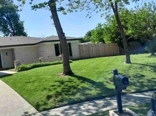 Marilyn S.'s lawn maintenance service result