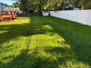 Shirley L.'s lawn service service result