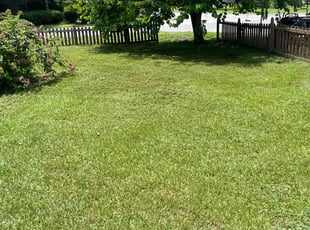 Neal D.'s yard maintenance service result