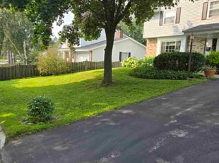 Tyrice K.'s turf maintenance service result