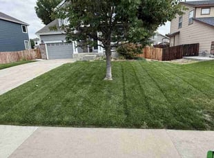 Axel R.'s lawn maintenance service result