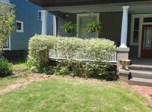 Jennifer D.'s Bush Trimming service result