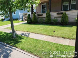 Bob B.'s grass maintenance service result