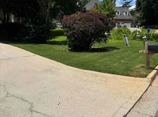 Jeanine R.'s turf care service result