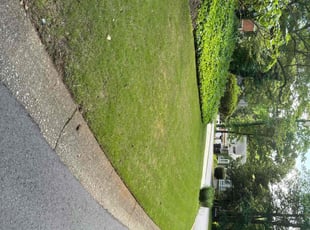 Karen R.'s lawn care service result