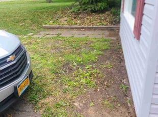 Lisa P.'s Bush Trimming service result