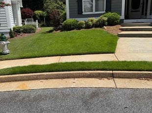 Lori M.'s turf maintenance service result