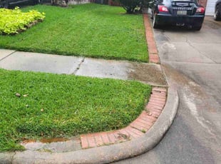 Michael D.'s grass cutting service result