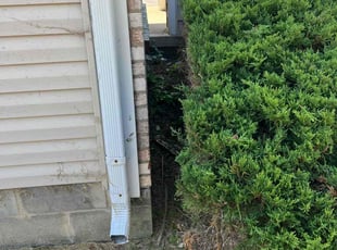 Tatjana R.'s Bush Trimming service result