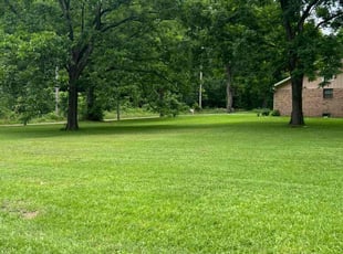 Jana M.'s grass maintenance service result