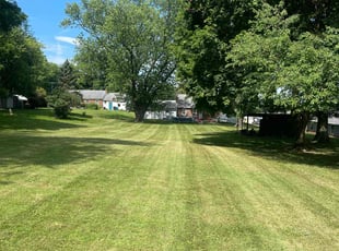 Sandra R.'s grass cutting service result