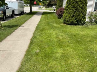 Shaun H.'s lawn service service result
