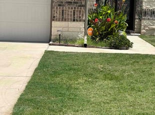 John W.'s lawn care services service result