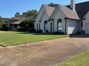 Yurim K.'s lawn maintenance service result