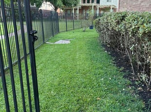 Michael M.'s landscape maintenance service result