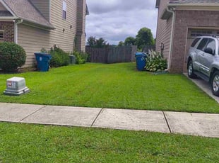 Sarah G.'s grass maintenance service result
